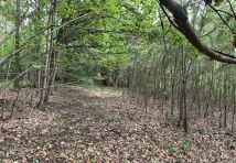 Działka budowlana Dębczyno. Zdjęcie 4