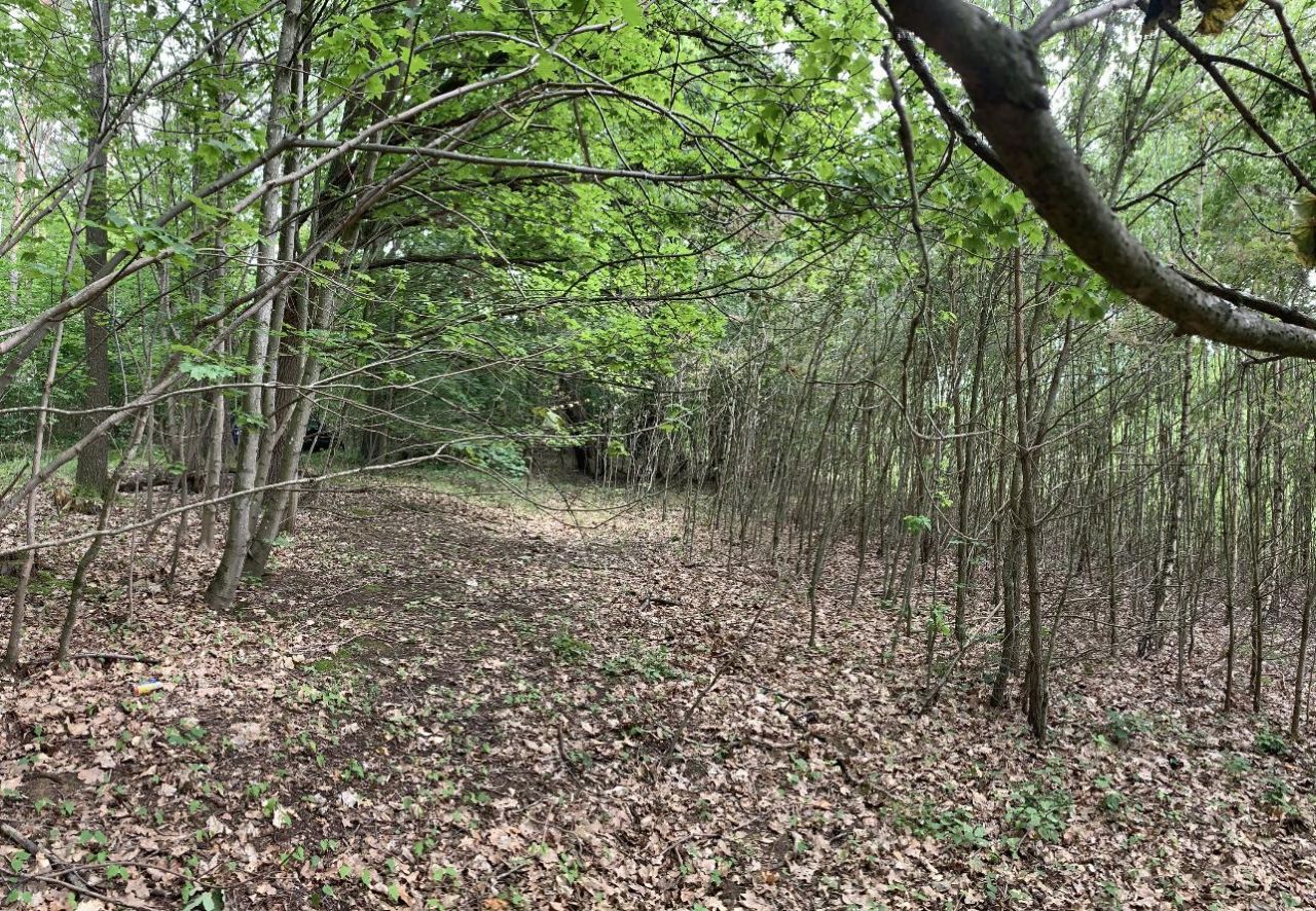 Działka budowlana Dębczyno. Zdjęcie 5