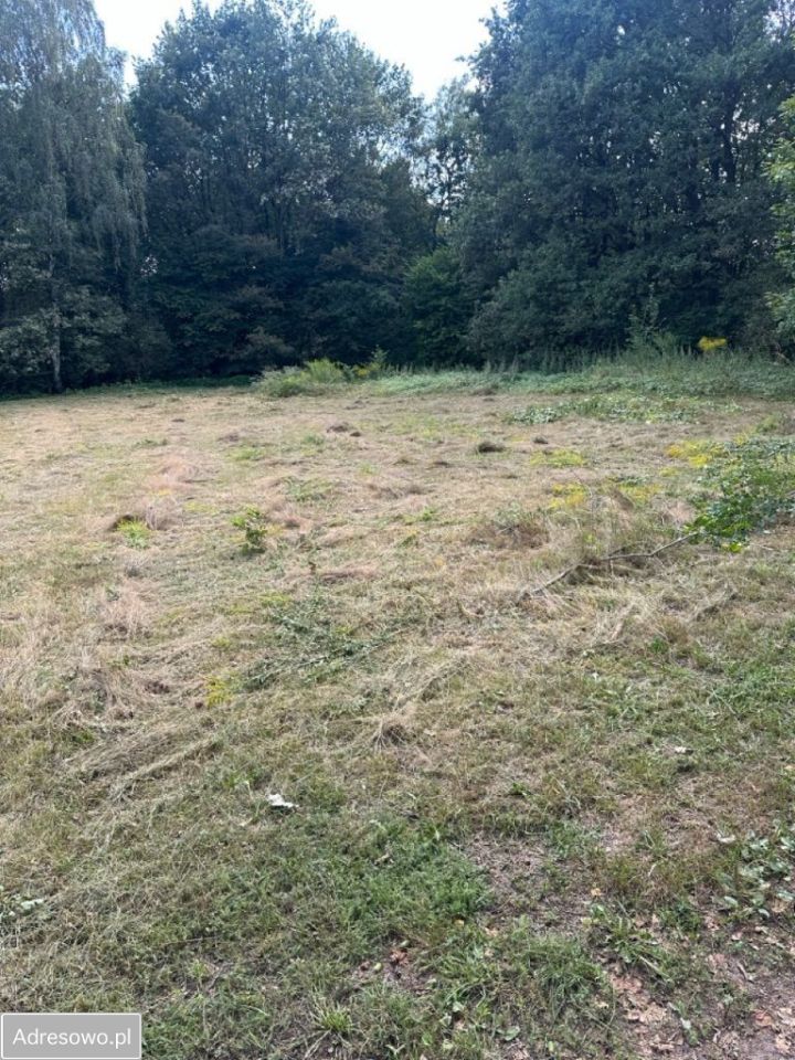 Działka inwestycyjna Mikołów, ul. Podgórna. Zdjęcie 3