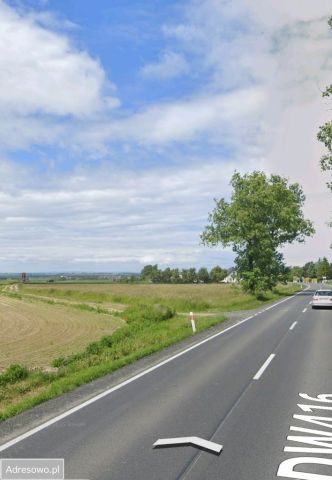 Działka inwestycyjna Cyprzanów. Zdjęcie 1