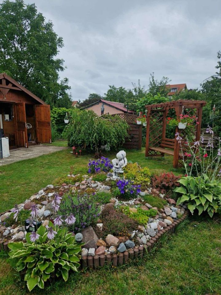 Działka rod Wolin. Zdjęcie 3