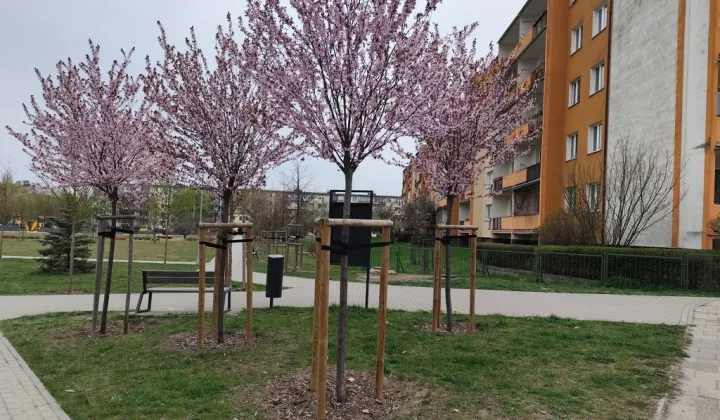 Mieszkanie 4-pokojowe Szczecin, ul. Aleksandra Zawadzkiego