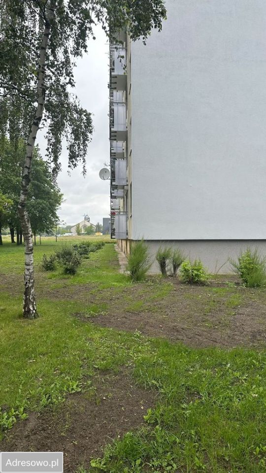 Mieszkanie 2-pokojowe Poznań Winogrady, os. Zwycięstwa. Zdjęcie 12