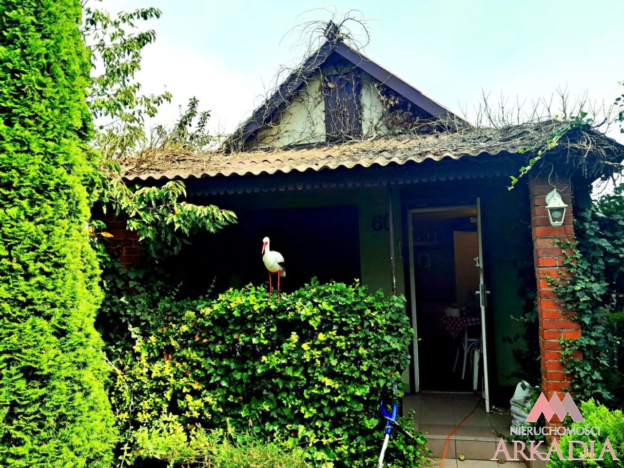 Działka rekreacyjna Marysin