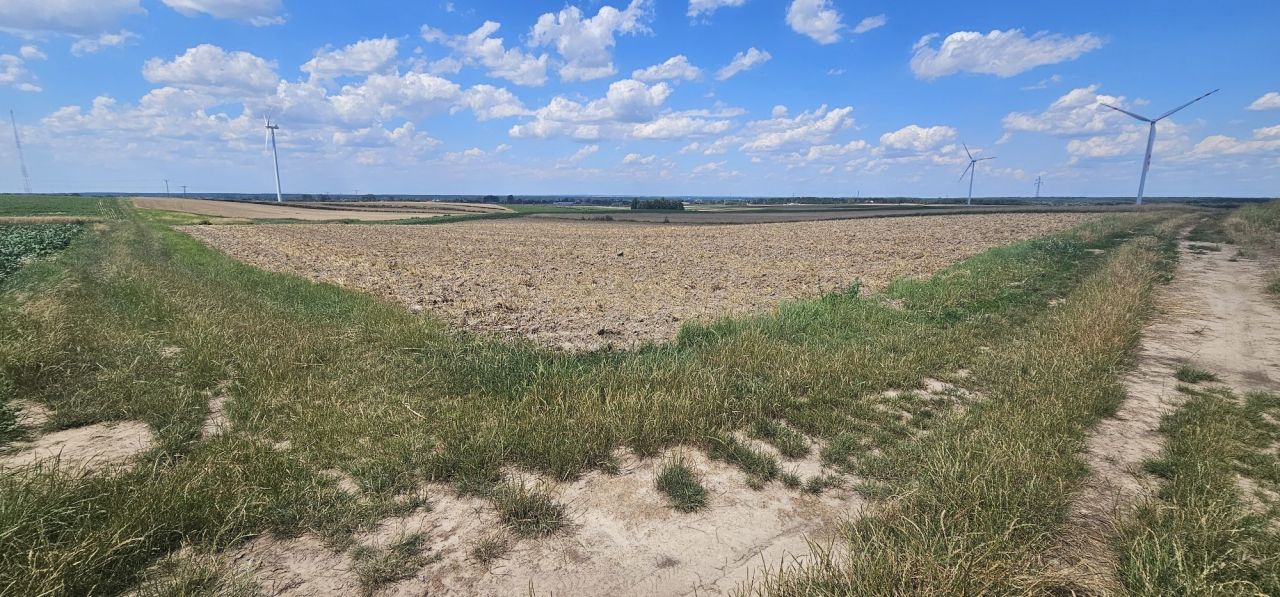 Działka rolna Tyszowce. Zdjęcie 6