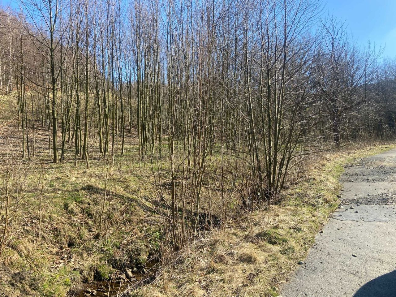 Działka budowlana Rościszów, ul. Potoczek. Zdjęcie 5