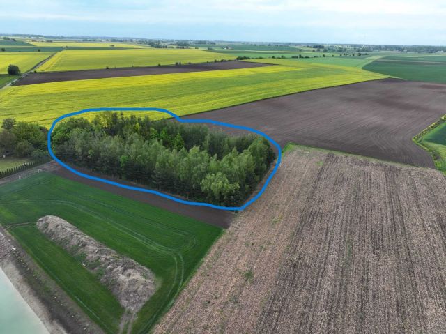 Działka budowlana Obiecanowo. Zdjęcie 1