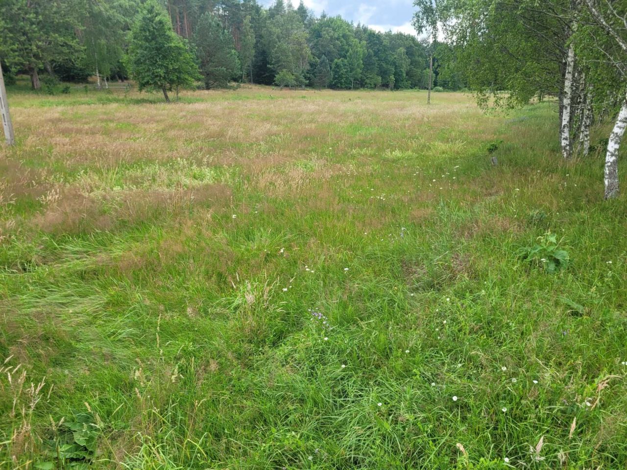 Działka rolna Sierakowo Sławieńskie. Zdjęcie 5