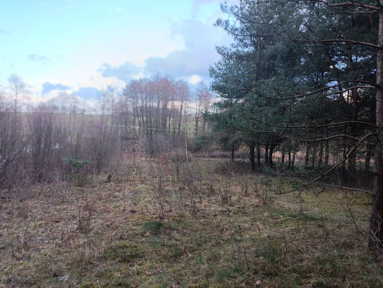 Działka budowlana Wylazłowo. Zdjęcie 15