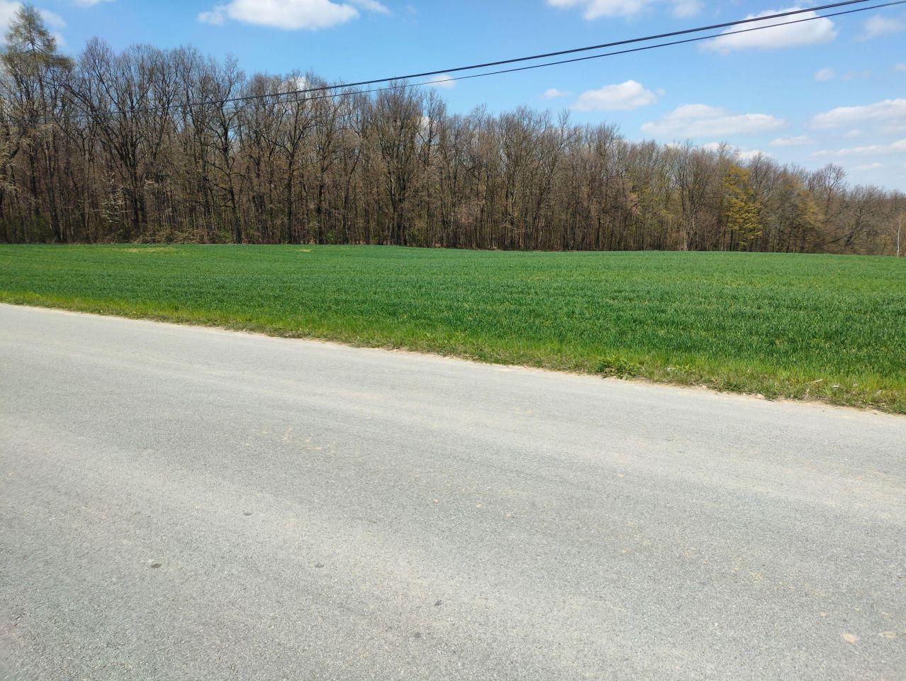 Działka budowlana Celiny. Zdjęcie 31