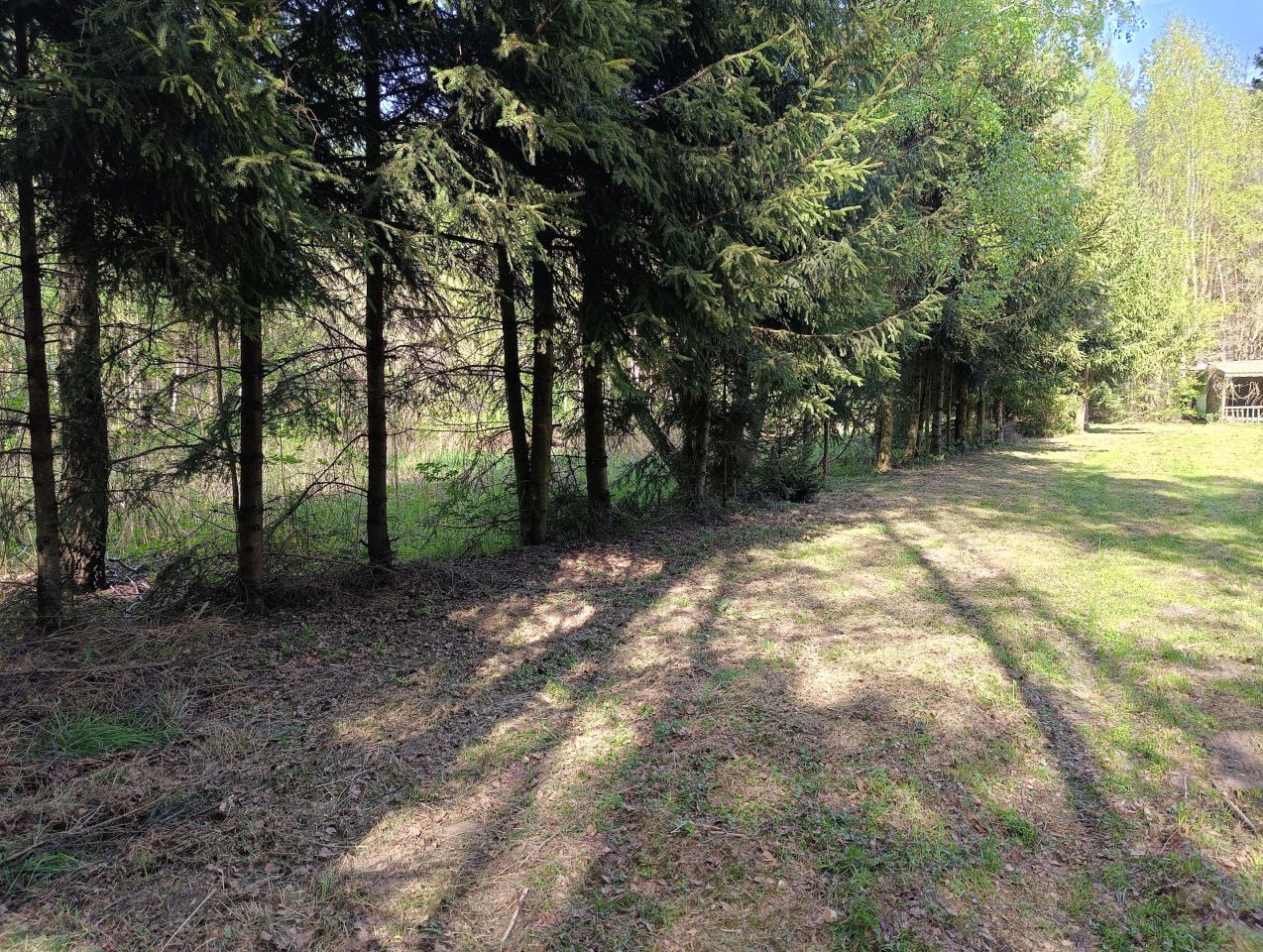 Działka budowlana Kopyść. Zdjęcie 12