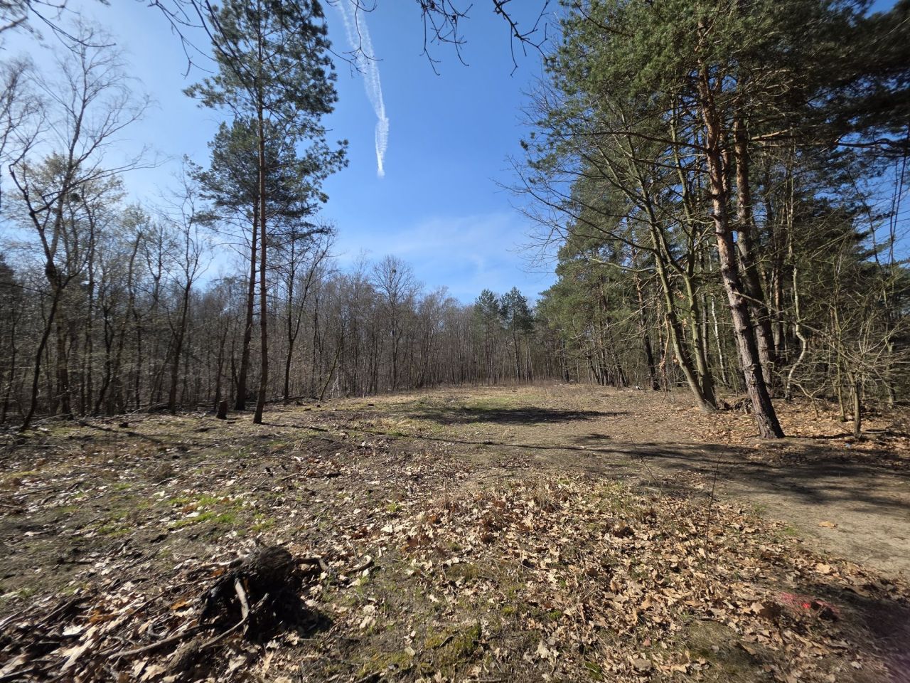 Działka rolno-budowlana Swoboda. Zdjęcie 6