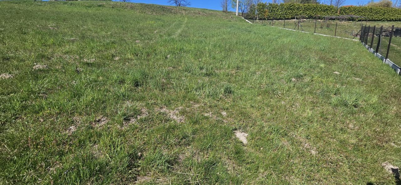 Działka rolna Winiary. Zdjęcie 4