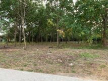 Działka budowlana Bydgoszcz, ul. Bielska. Zdjęcie 2