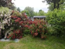 Działka rod Bytom, ul. Brzezińska. Zdjęcie 3