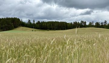 Działka budowlana Borowiec