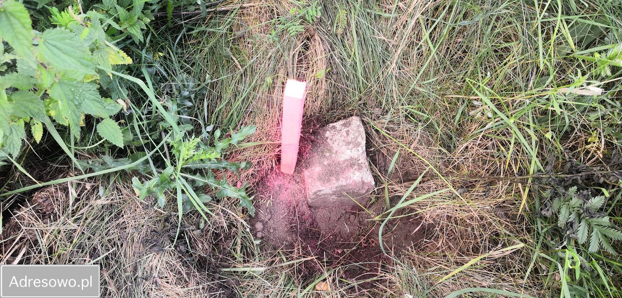 Działka budowlana Puszcza Rządowa. Zdjęcie 3