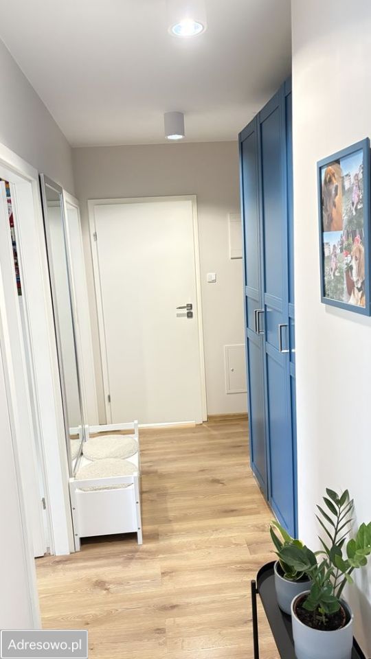 Mieszkanie 3-pokojowe Zielona Góra Łężyca. Zdjęcie 4