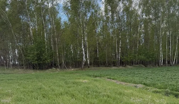 Działka rolno-budowlana Pokinianka