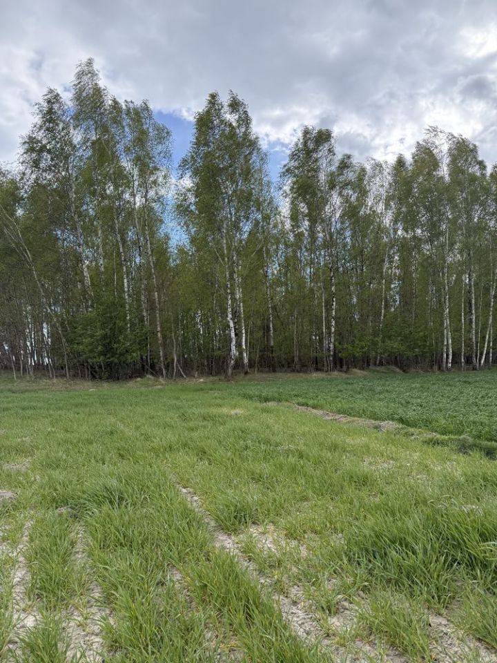 Działka rolno-budowlana Pokinianka. Zdjęcie 1