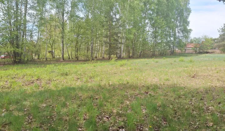 Działka budowlana Granica, ul. Pruszkowska
