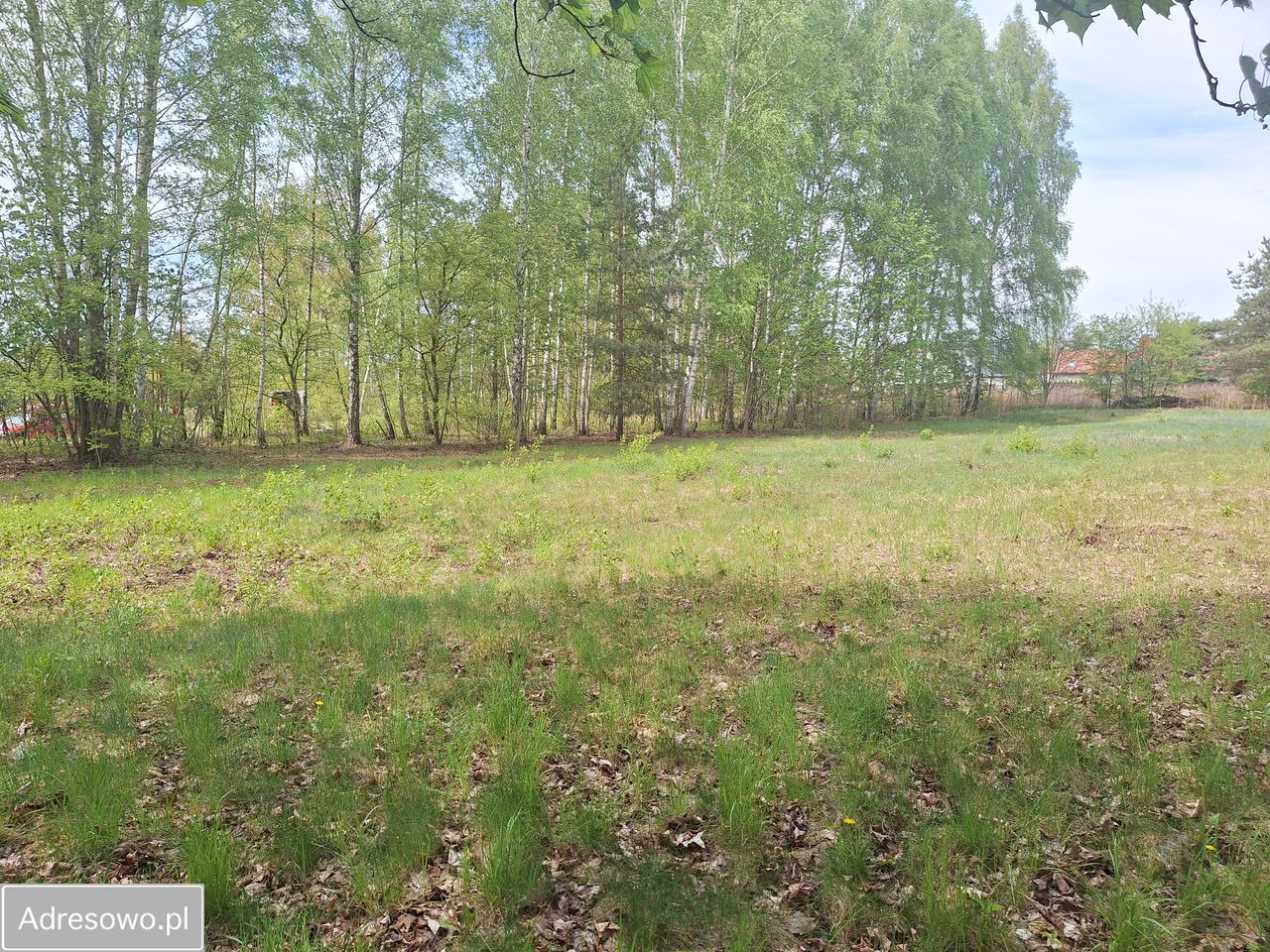 Działka budowlana Granica, ul. Pruszkowska. Zdjęcie 1