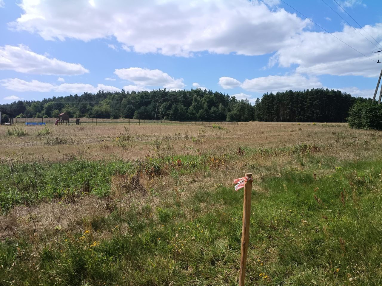 Działka budowlana Karpie. Zdjęcie 5