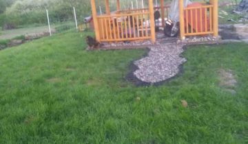 Działka rod Zamość, ul. Aleksandra Fredry