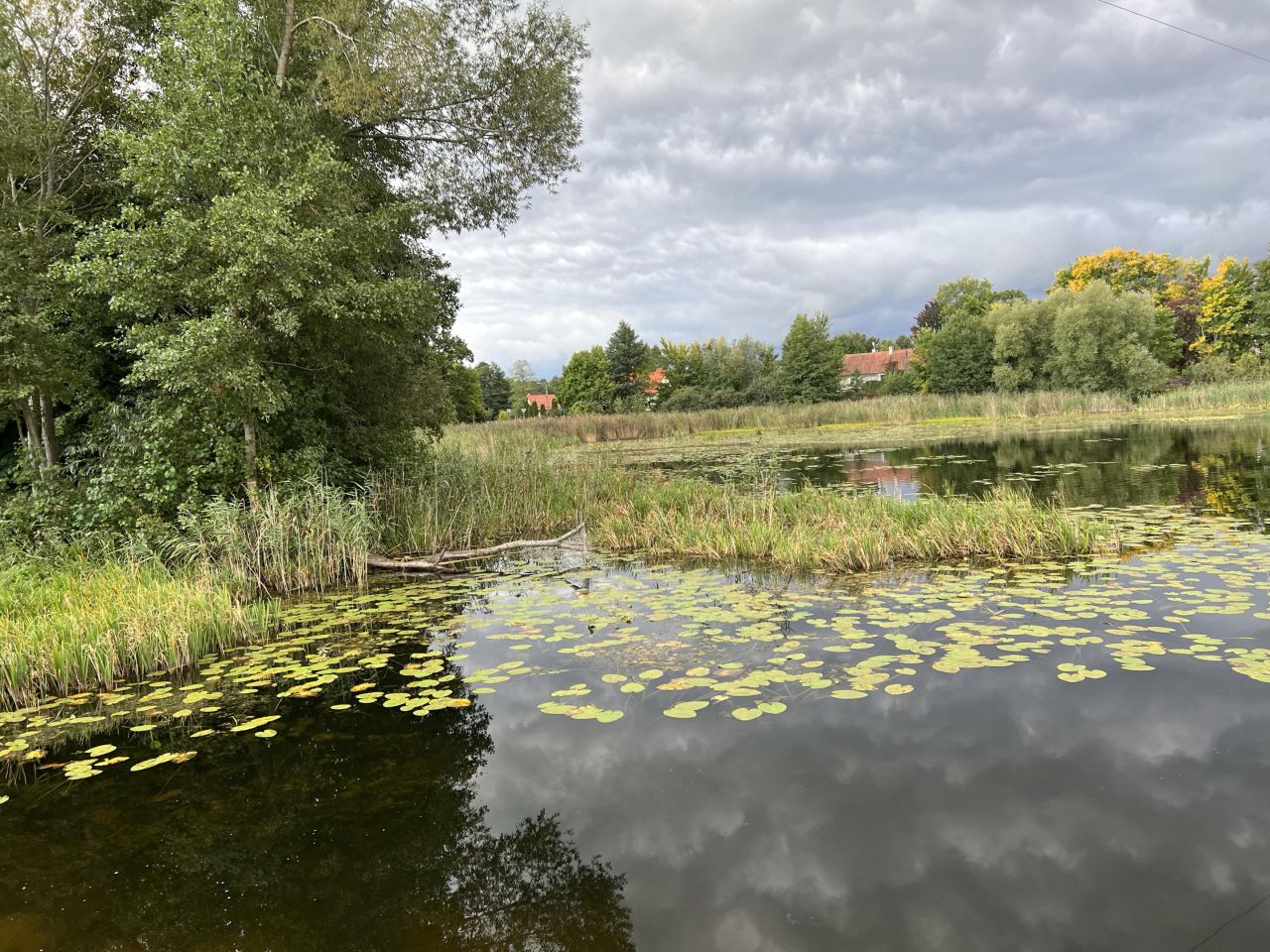 Działka rolno-budowlana Talki. Zdjęcie 6
