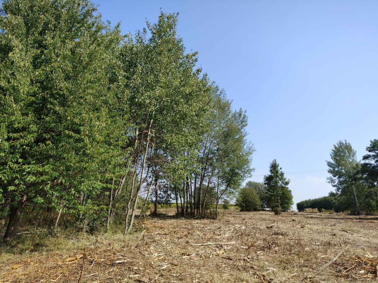 Działka budowlana Jabłonna Pierwsza. Zdjęcie 8