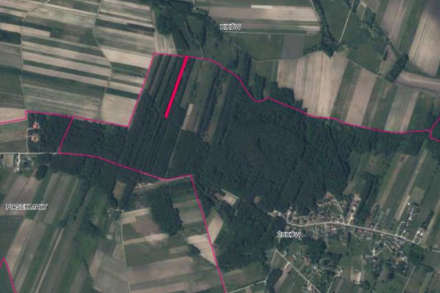 Działka leśna Żuków. Zdjęcie 1