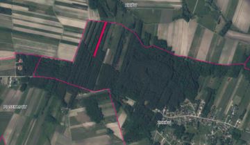 Działka leśna Żuków