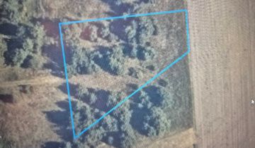 Działka budowlana Żeliszew Podkościelny