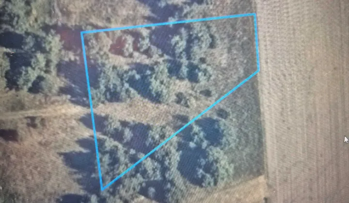 Działka budowlana Żeliszew Podkościelny