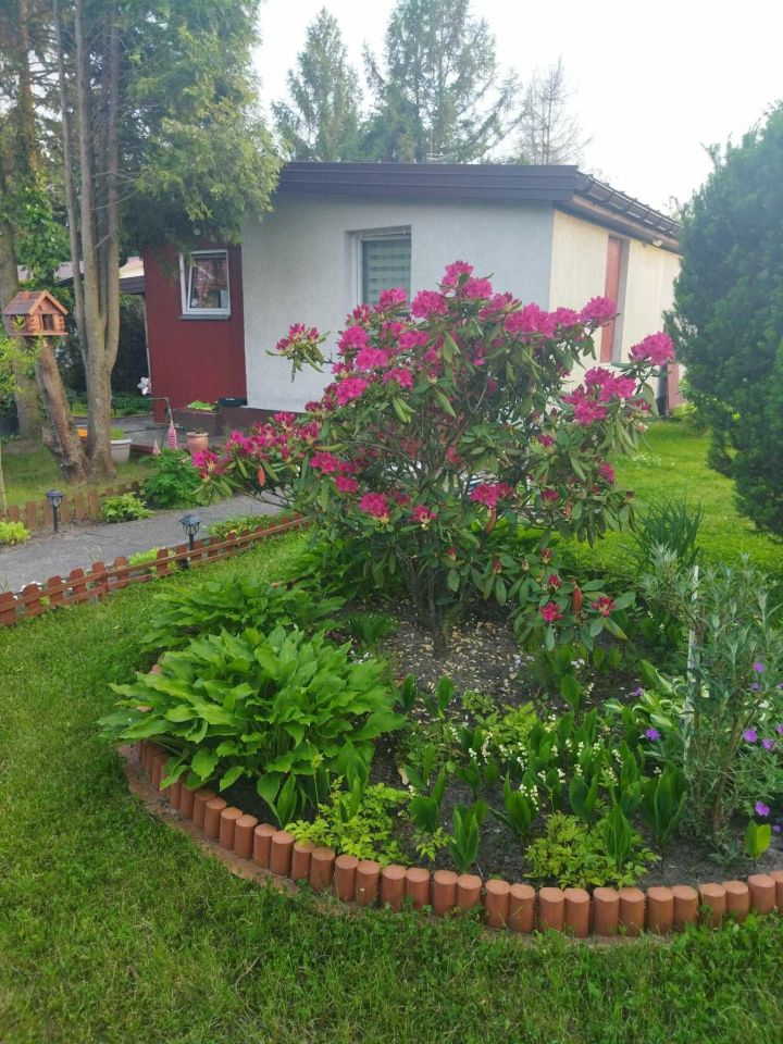 Działka rod Szczaki. Zdjęcie 6