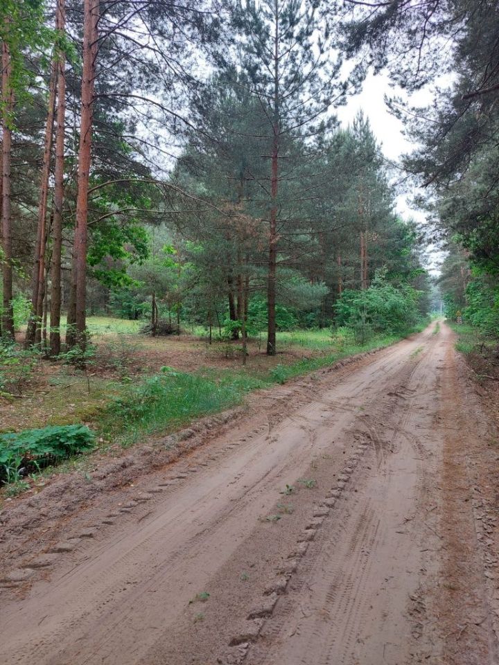 Działka rolno-budowlana Prabuty. Zdjęcie 5