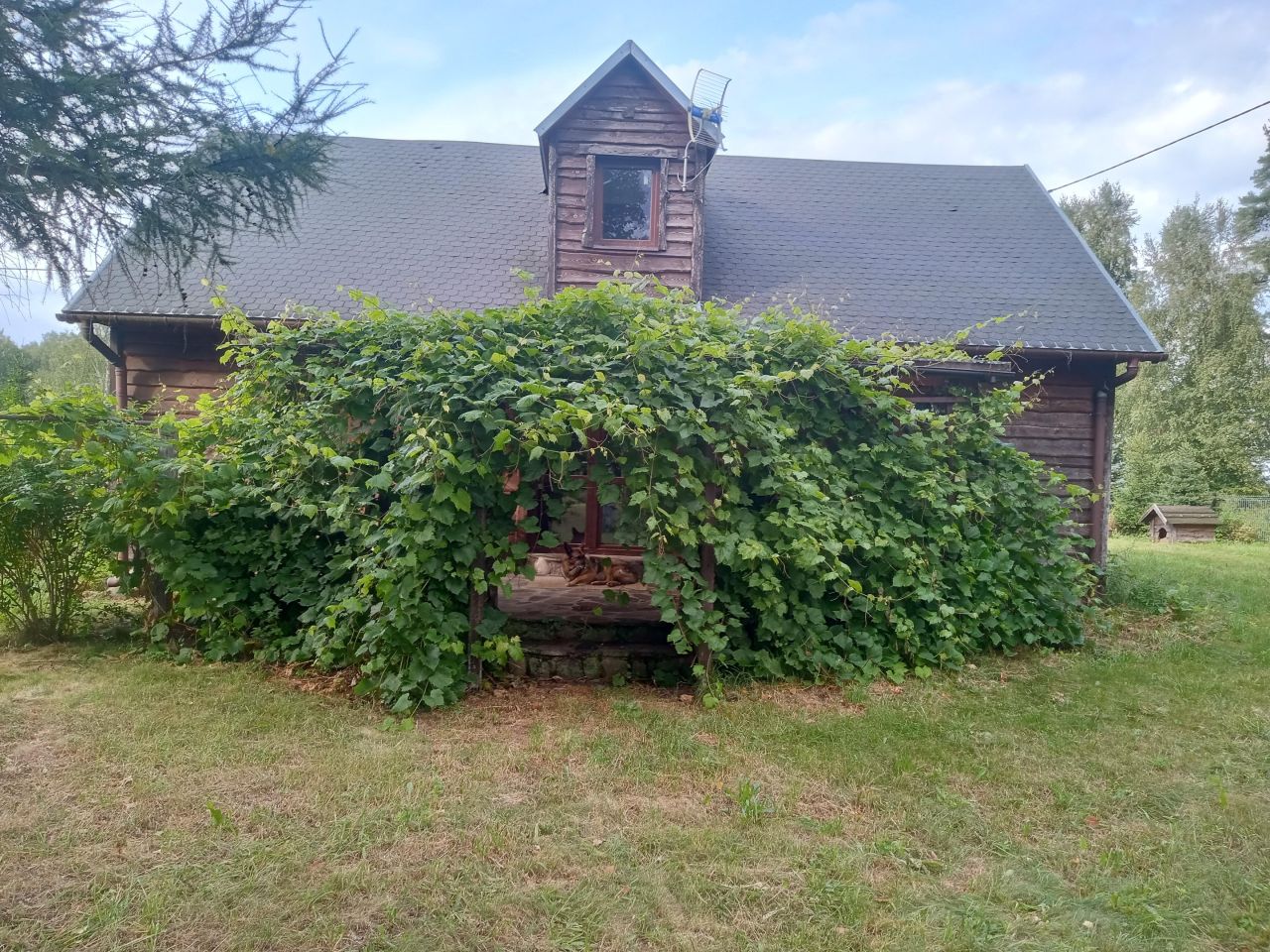 siedlisko, 4 pokoje Holonki Chrościanka