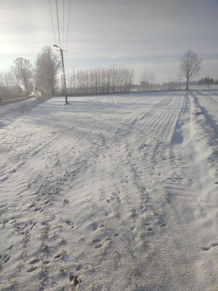 Działka rolno-budowlana Rybnik. Zdjęcie 3