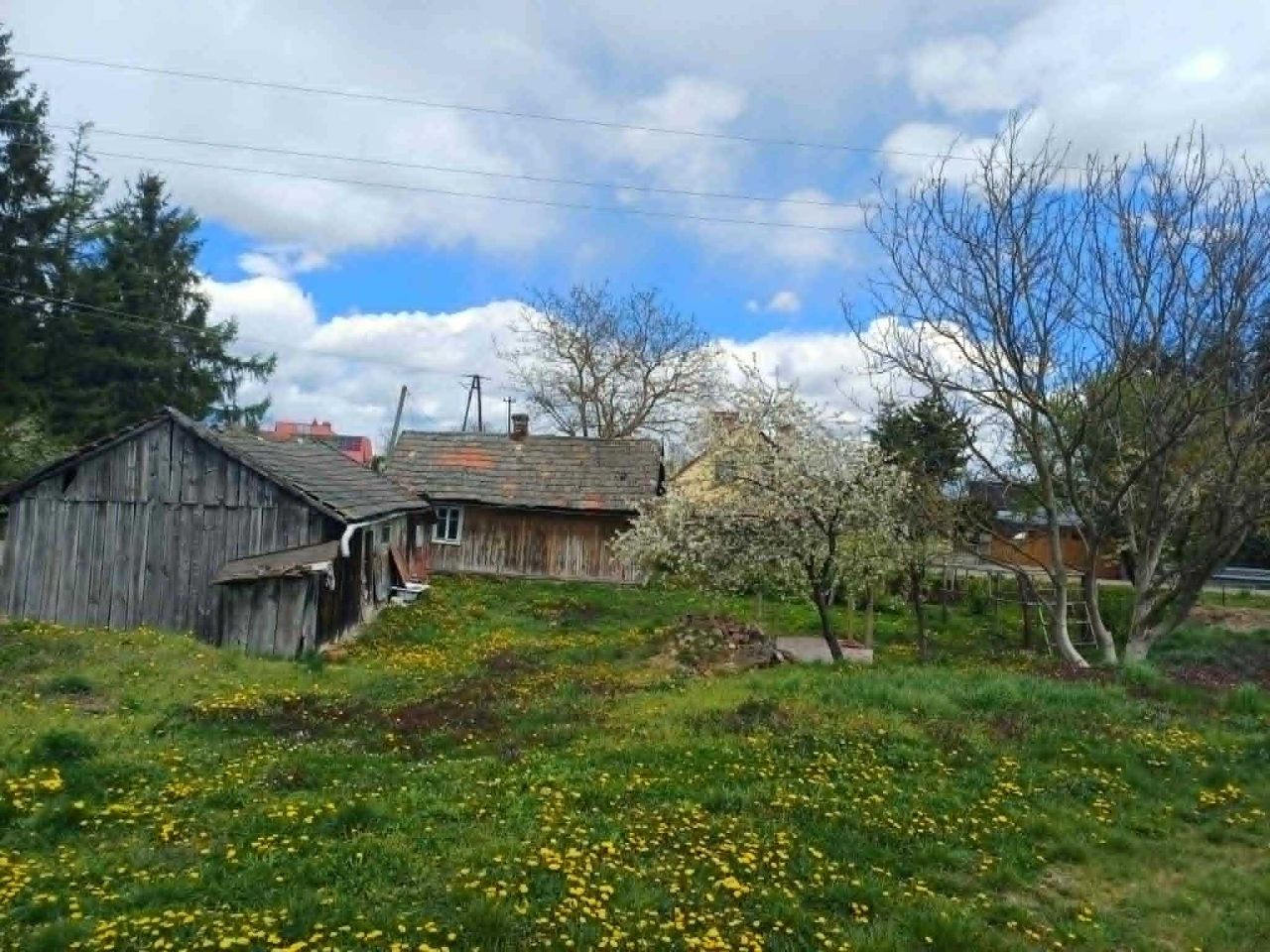 Działka rolno-budowlana Cząstkowice. Zdjęcie 1