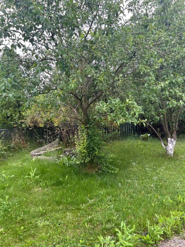 Działka rod Opole, ul. Alojzego Dambonia. Zdjęcie 7