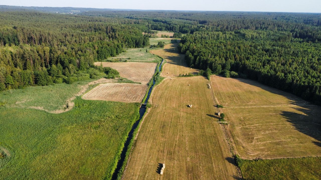 Działka rolna Cieliczanka. Zdjęcie 6