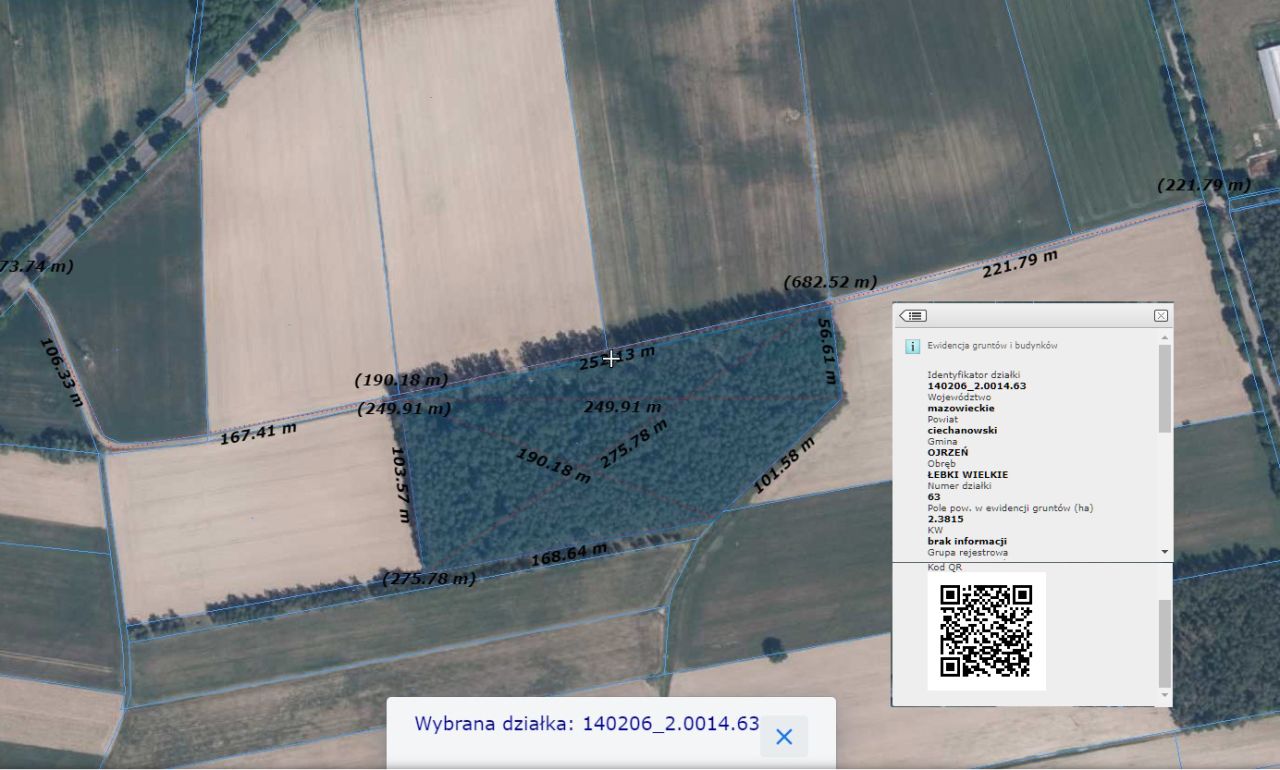 Działka leśna Skarżynek. Zdjęcie 3