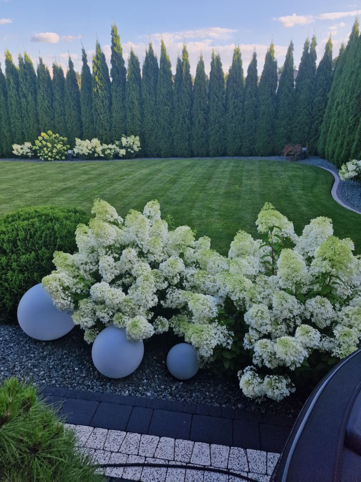 dom wolnostojący, 4 pokoje Serock, ul. Wyzwolenia. Zdjęcie 41