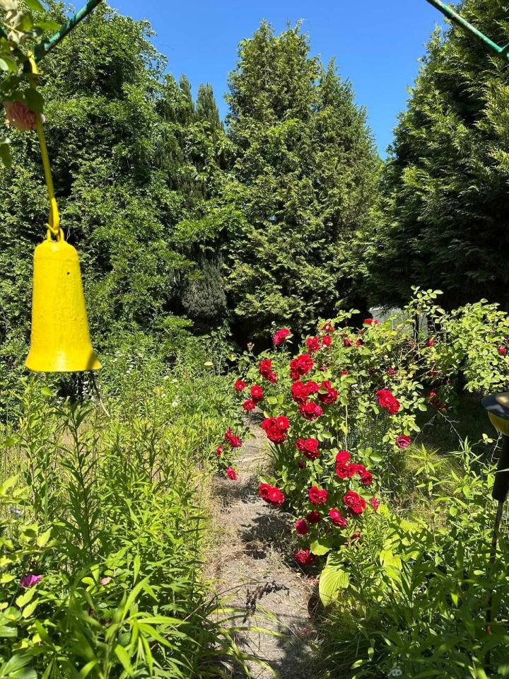 Działka rod Warszawa Siekierki. Zdjęcie 2