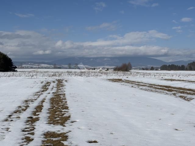 Działka rolna Jabłonka. Zdjęcie 3