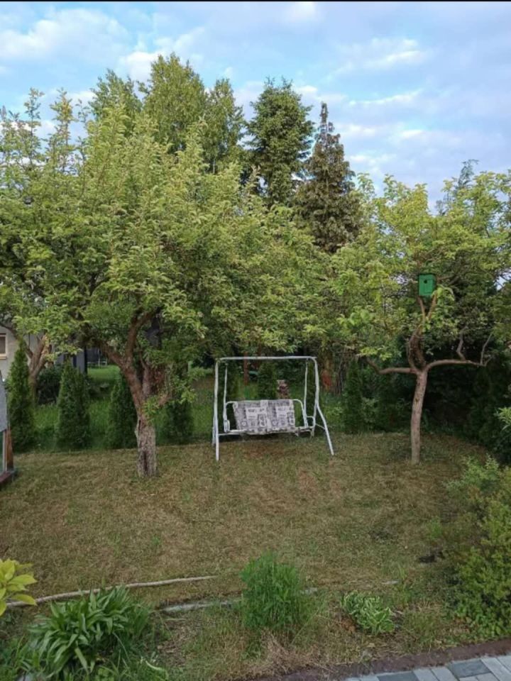 Działka rod Zelów. Zdjęcie 2