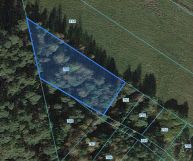 Działka budowlana Bojanów, ul. Wilcza. Zdjęcie 1