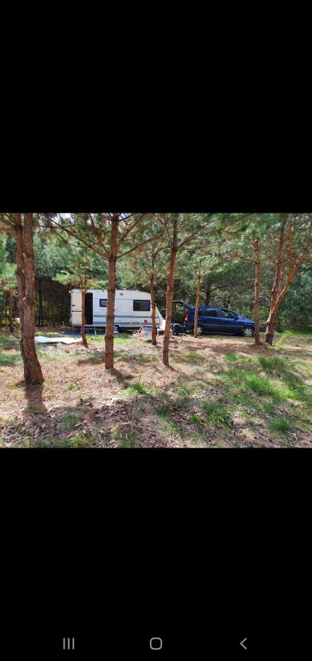 Działka rolno-budowlana Kolonia. Zdjęcie 8