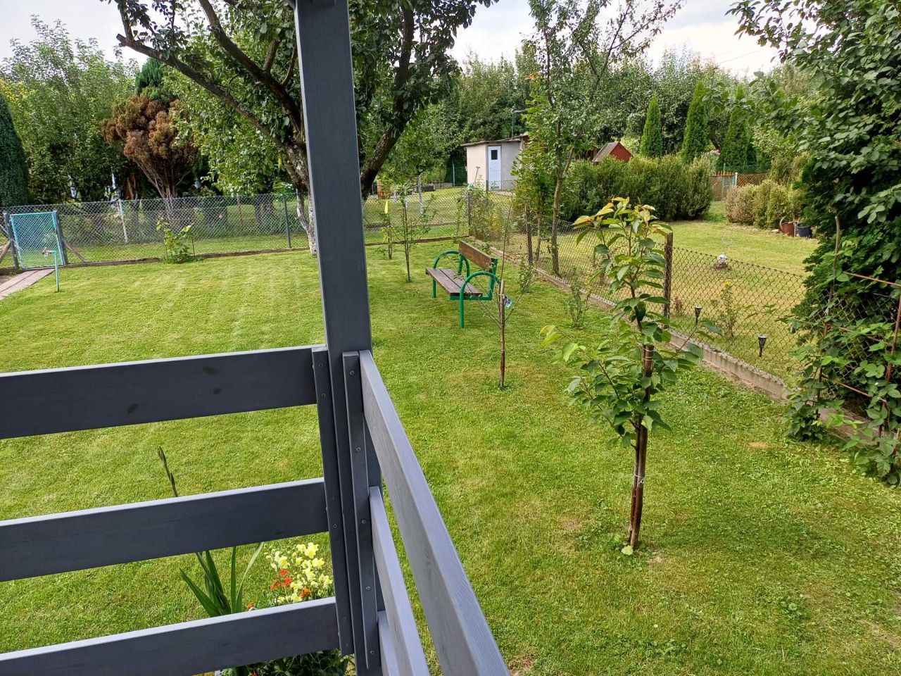 Działka rod Głuchołazy, ul. Powstańców Śląskich. Zdjęcie 3