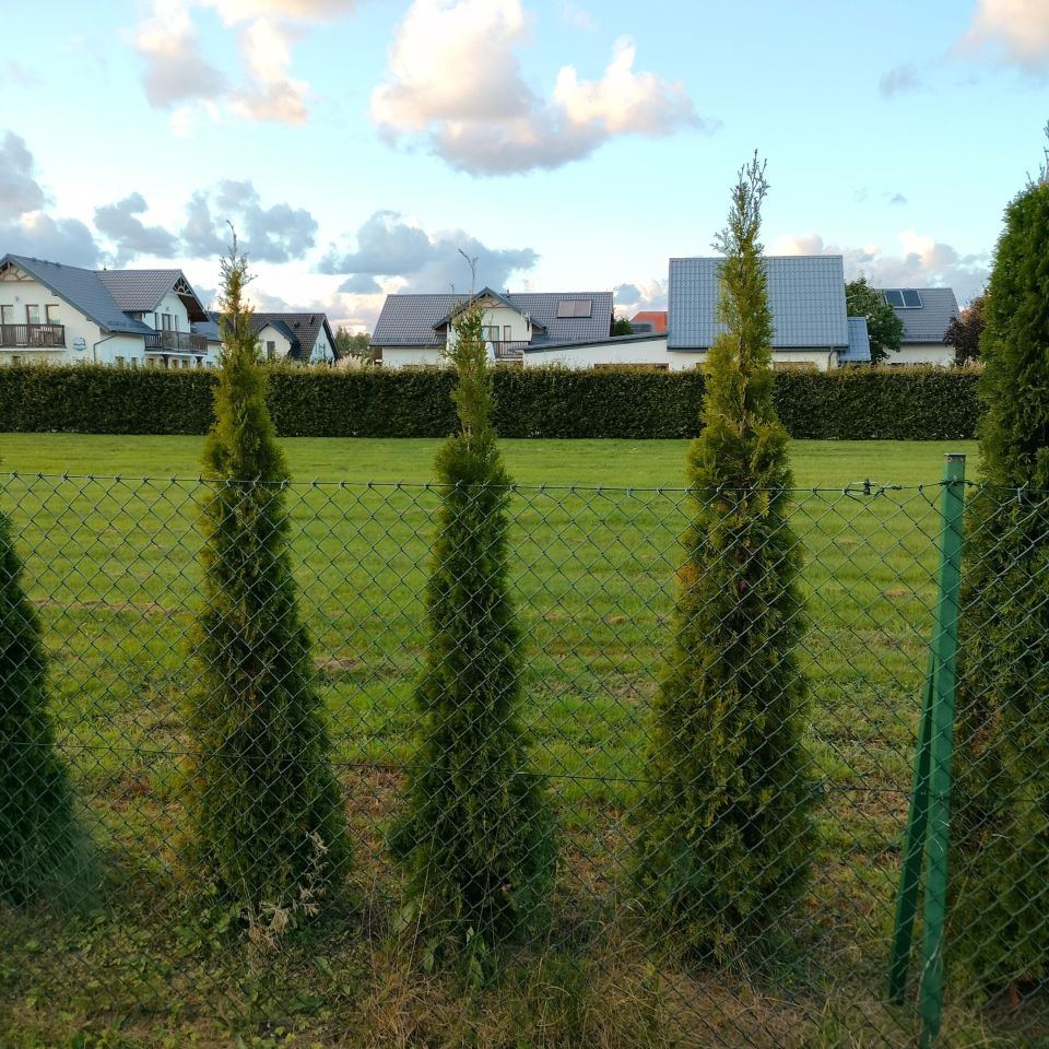 Działka budowlana Dębki, ul. Spokojna. Zdjęcie 3